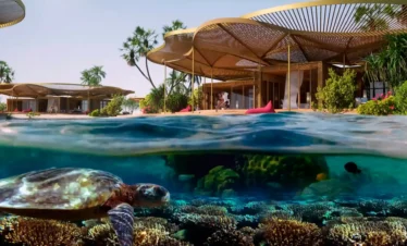 Red Sea