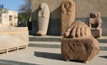 Full Day Tour Tanis and Bubastis