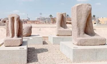 Full Day Tour Tanis and Bubastis