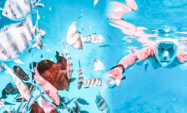 Hamata Island Snorkeling Trip