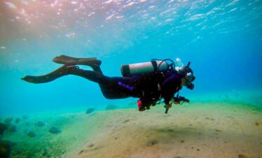 Hamata Island Snorkeling Trip