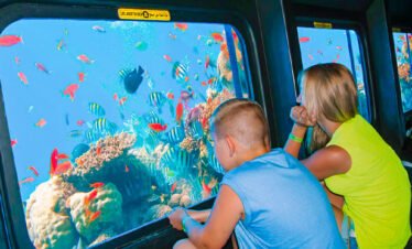 Hurghada Semi Submarine Tour