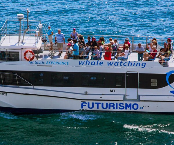 Hurghada Semi Submarine Tour