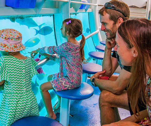 Hurghada Semi Submarine Tour