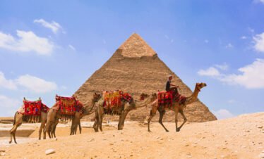 Private Day Tour to pyramids of Giza, Memphis and Saqqara