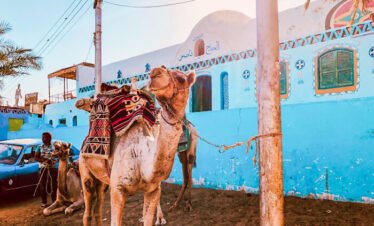 Day Trip to the Nubian village in Aswan