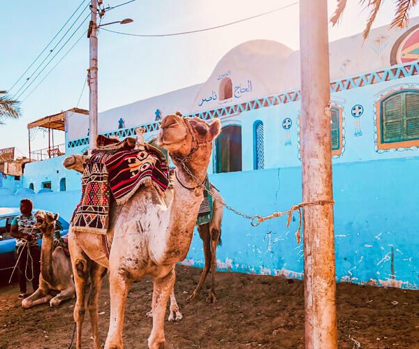 Day Trip to the Nubian village in Aswan