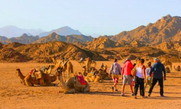 Sharm El Sheikh Quad Biking with Camel Ride