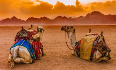 Sharm El Sheikh