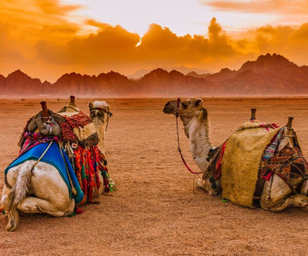 Sharm El Sheikh