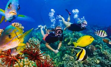 Snorkeling Trip at Port Ghalib from Marsa Alam