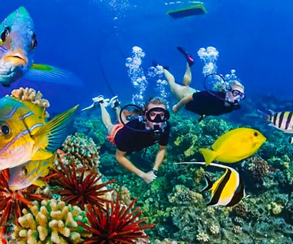 Snorkeling Trip at Port Ghalib from Marsa Alam