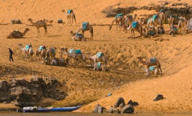 Day Tour to St Simeon Monastery
