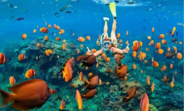 Tiran Island Snorkeling Trip