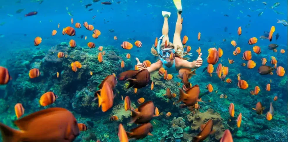 Tiran Island Snorkeling Trip