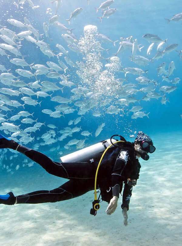 7 Days Cairo and Sharm El Sheikh Package