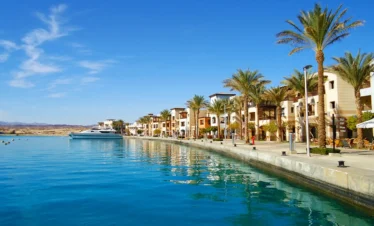 Snorkeling Trip at Port Ghalib from Marsa Alam