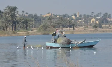 things to do in tunis village fayoum