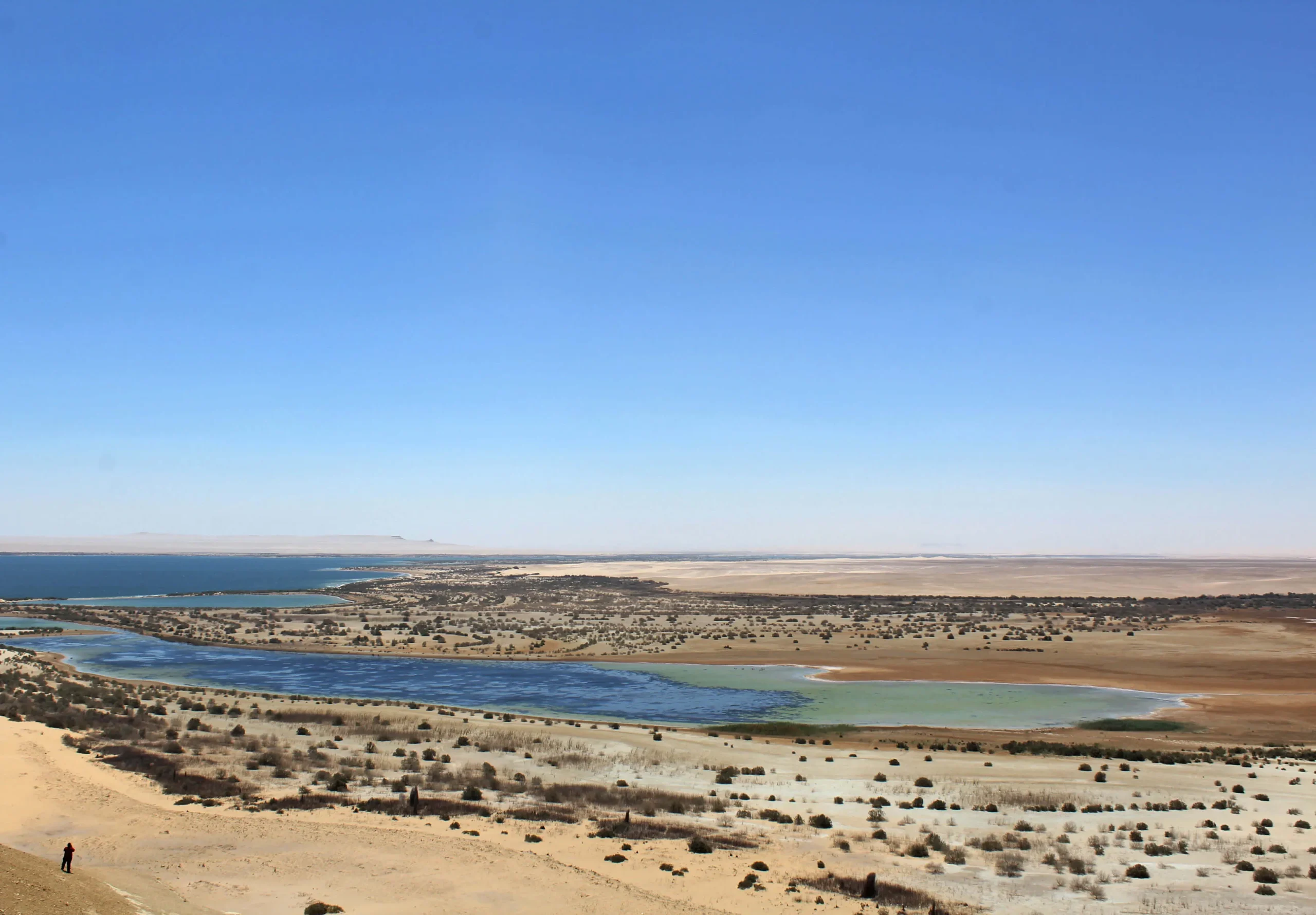 things to do in tunis village fayoum
