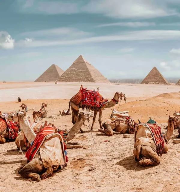 Private Day Tour to Egyptian Museum and Pyramids of Giza